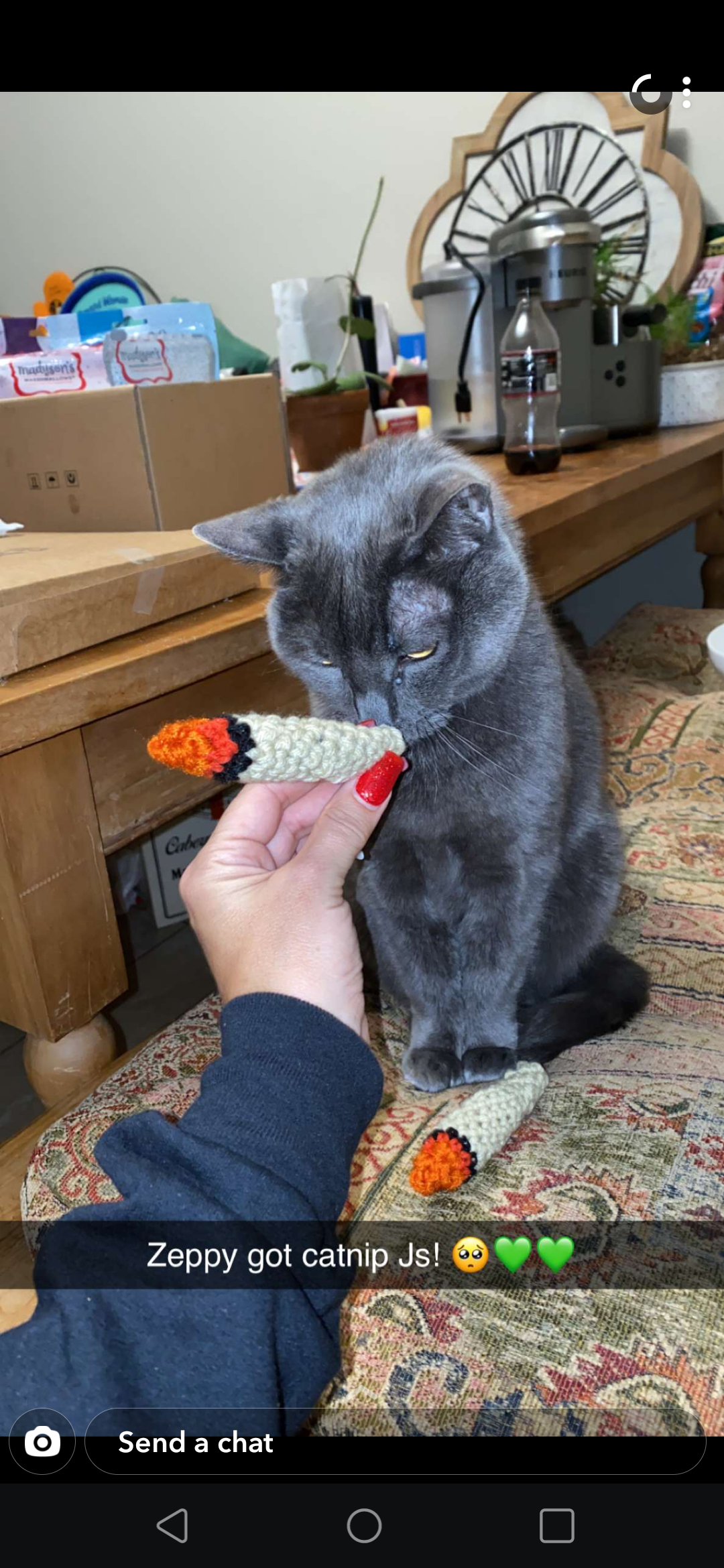 Crochet Cat Nip “Joint”